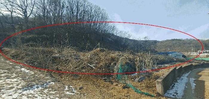경기도 김포시 월곶면 조강리 271-4 임야 경매 사진 1