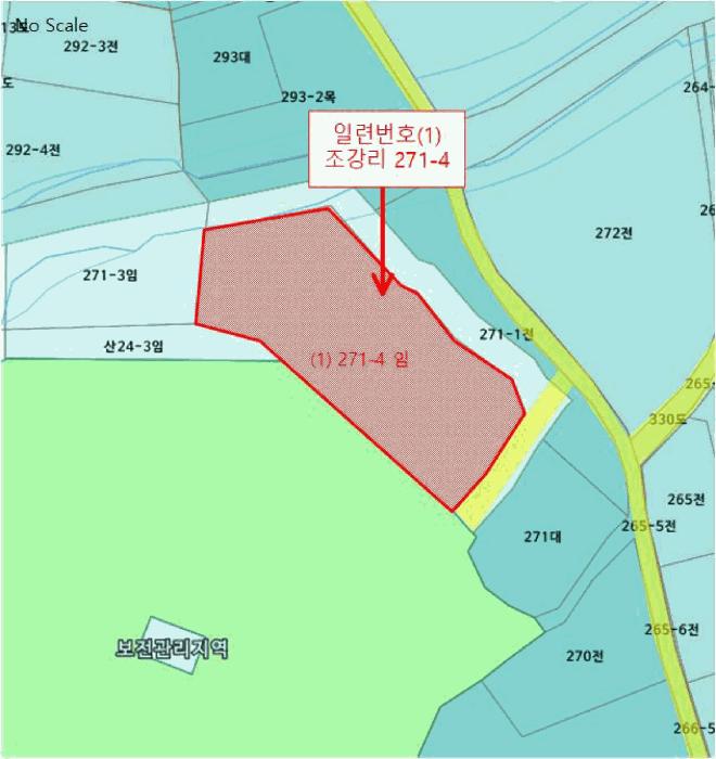 경기도 김포시 월곶면 조강리 271-4 임야 경매 사진 14
