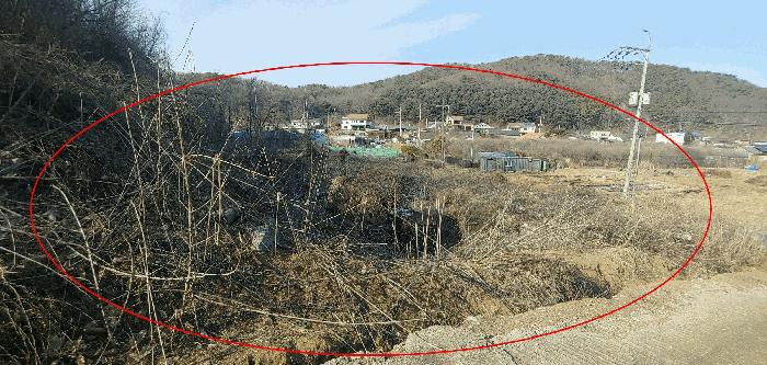 경기도 김포시 월곶면 조강리 271-4 임야 경매 사진 2