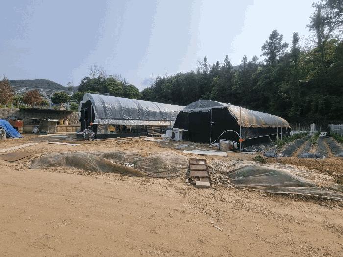 전라남도 담양군 무정면 평지리 593 과수원 경매 사진 3