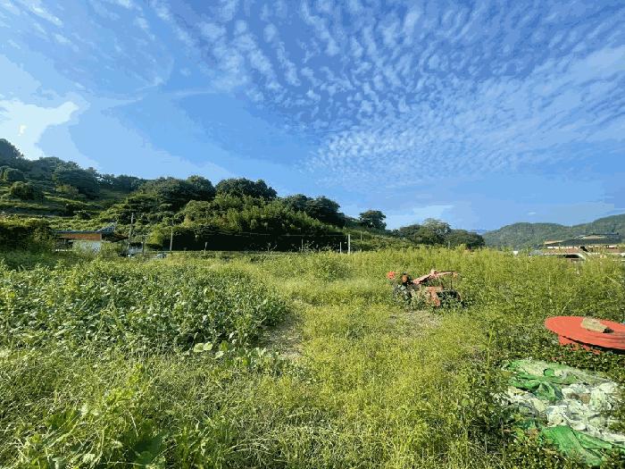 경상남도 창원시 마산합포구 진전면 창포리 163 대지 경매 사진 2