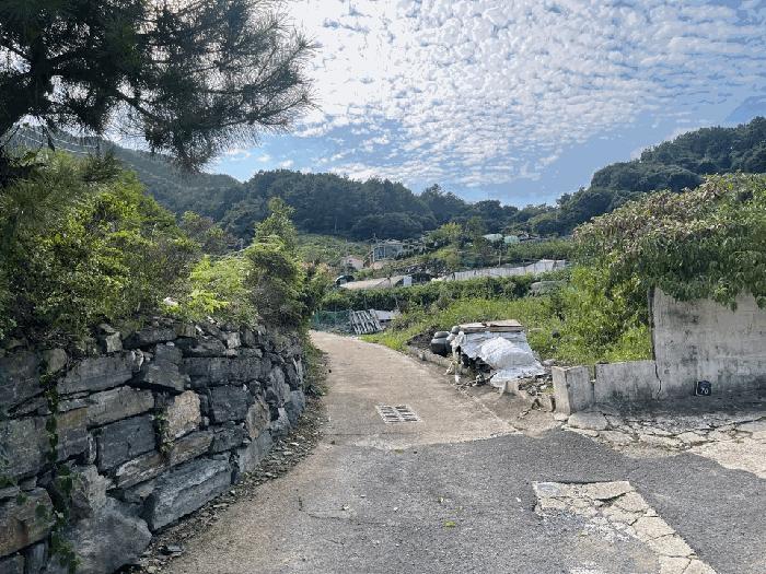 경상남도 창원시 마산합포구 진전면 창포리 262 전 경매 사진 5