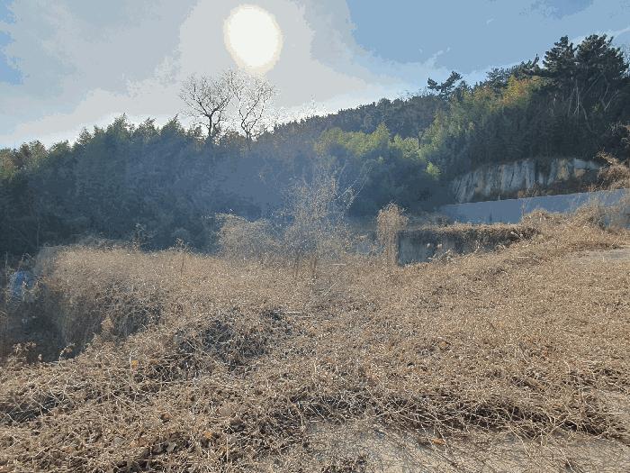 경상남도 김해시 풍유동 379 대지 경매 사진 4
