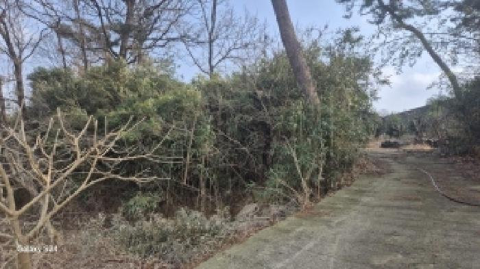 전라남도 나주시 평산동 산116 임야 경매 사진 14