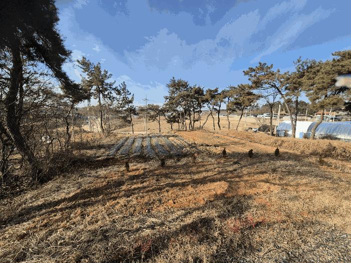 전라남도 나주시 평산동 산116 임야 경매 사진 8