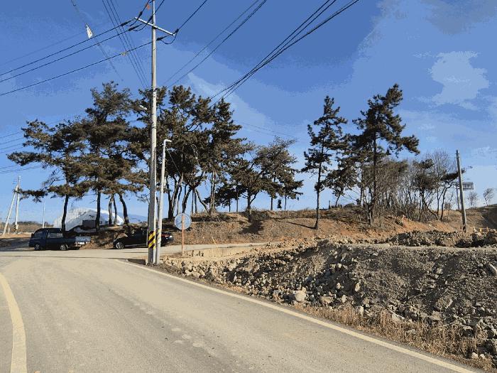 전라남도 나주시 평산동 산116 임야 경매 사진 9