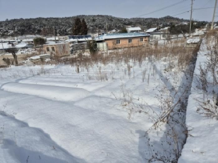 전라남도 영광군 군서면 남죽리 132 전 경매 사진 4