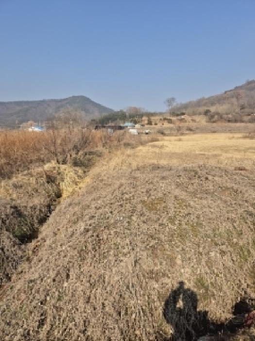 광주광역시 광산구 송치동 498-1 답 경매 사진 11