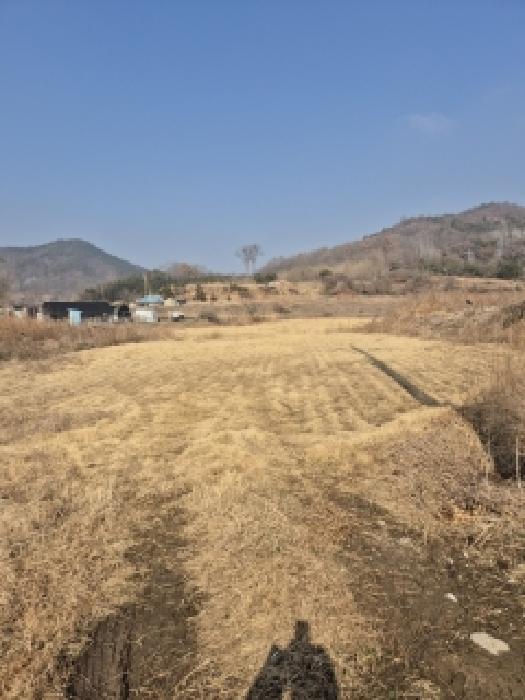 광주광역시 광산구 송치동 498-1 답 경매 사진 8