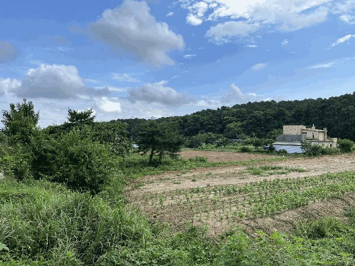 인천광역시 강화군 불은면 넙성리 747-1 답 경매 사진 1