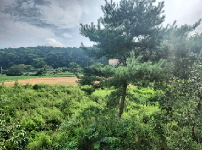 인천광역시 강화군 불은면 넙성리 747-1 답 경매 사진 10