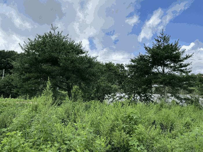 인천광역시 강화군 불은면 넙성리 747-1 답 경매 사진 6