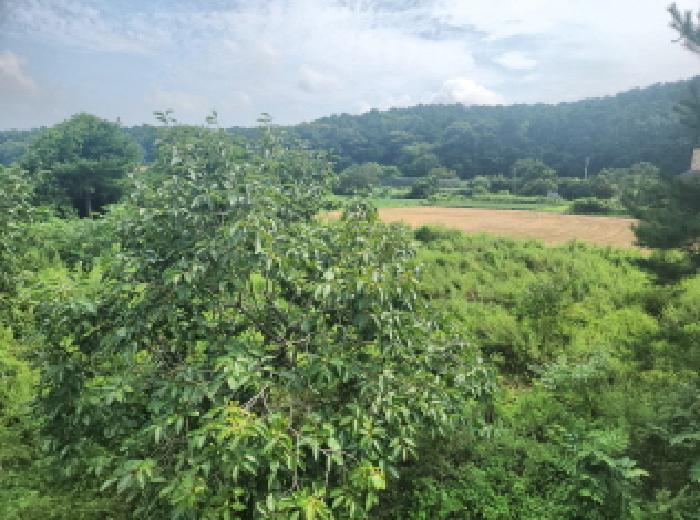인천광역시 강화군 불은면 넙성리 747-1 답 경매 사진 8