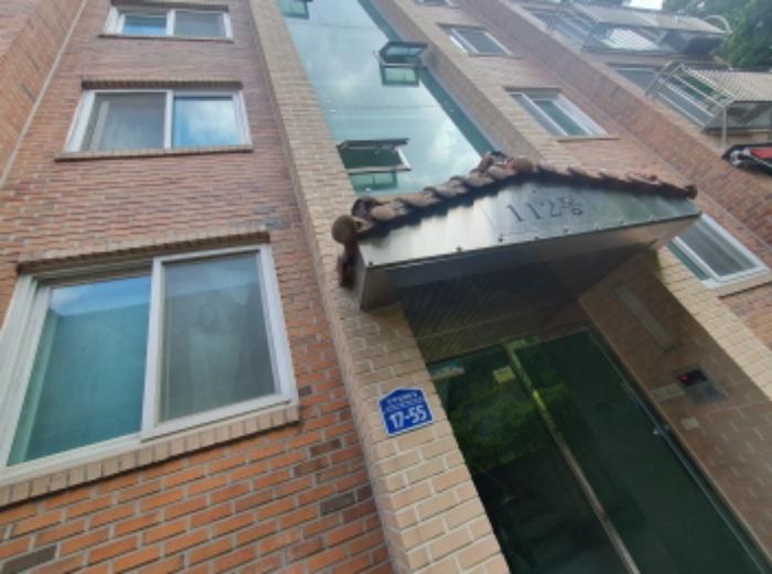 경기도 광주시 상태길68번길 17-52, 4층비-402호구) 경기도 광주시 신현동 937-4 다세대(빌라) 경매 사진 1