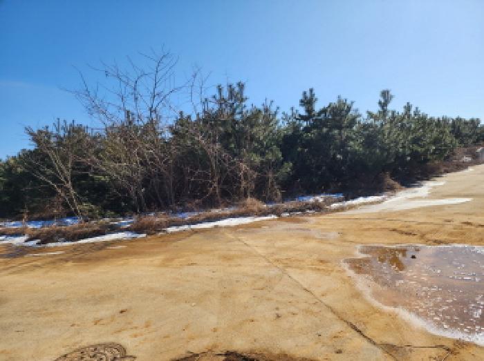 경기도 화성시 송산면 신천리 산29 임야 경매 사진 9