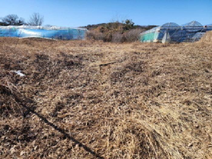 경기도 화성시 송산면 신천리 산29 임야 경매 사진 7