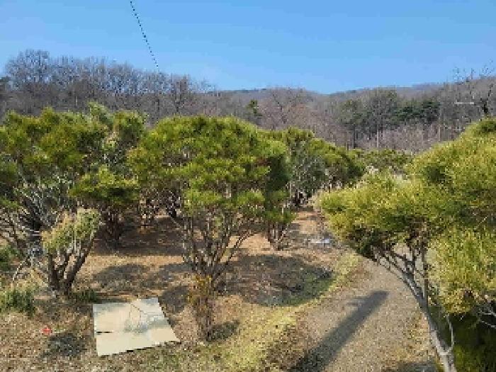경기도 화성시 봉담읍 상기리 472 공장 경매 사진 17