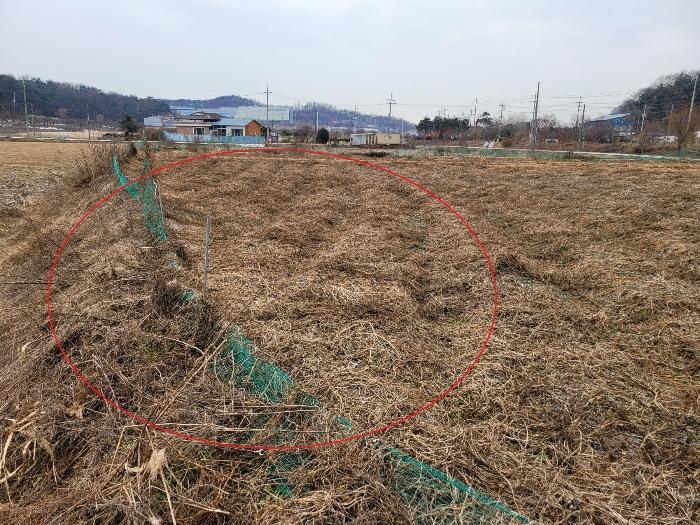 경기도 안성시 미양면 보체리 353-1 전 경매 사진 4
