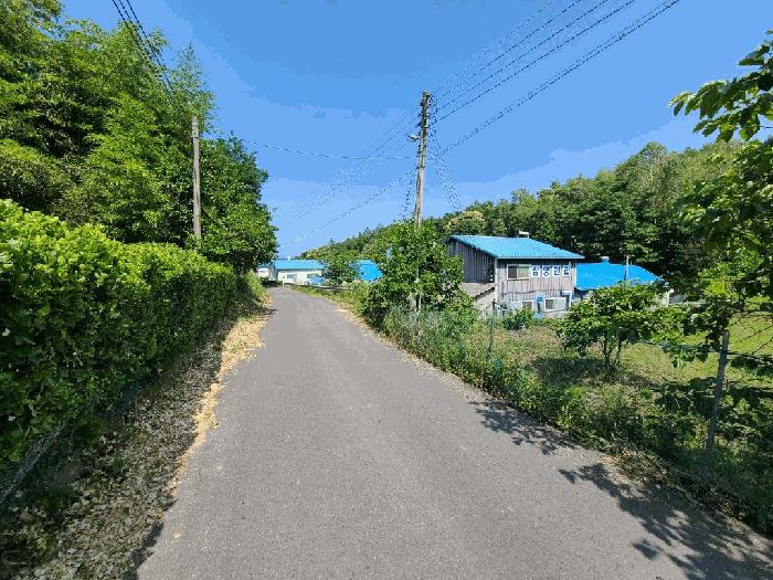 강원특별자치도 강릉시 사천면 방동리 683-2 근린시설 경매 사진 3