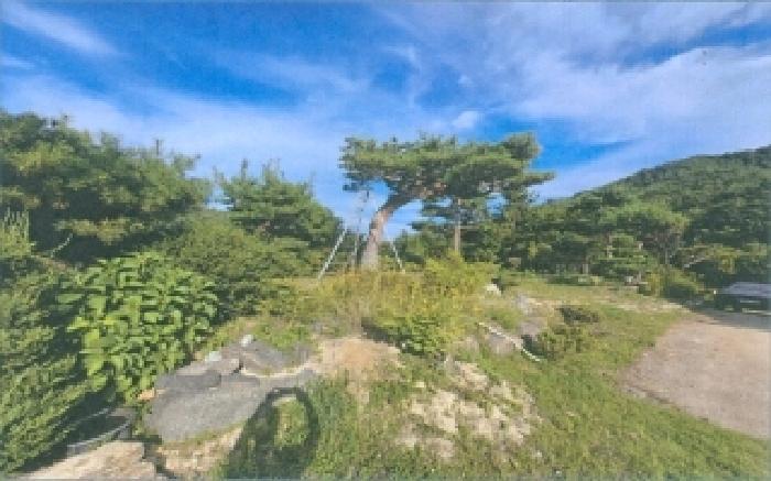 강원특별자치도 삼척시 원덕읍 임원리 993-1 전 경매 사진 14