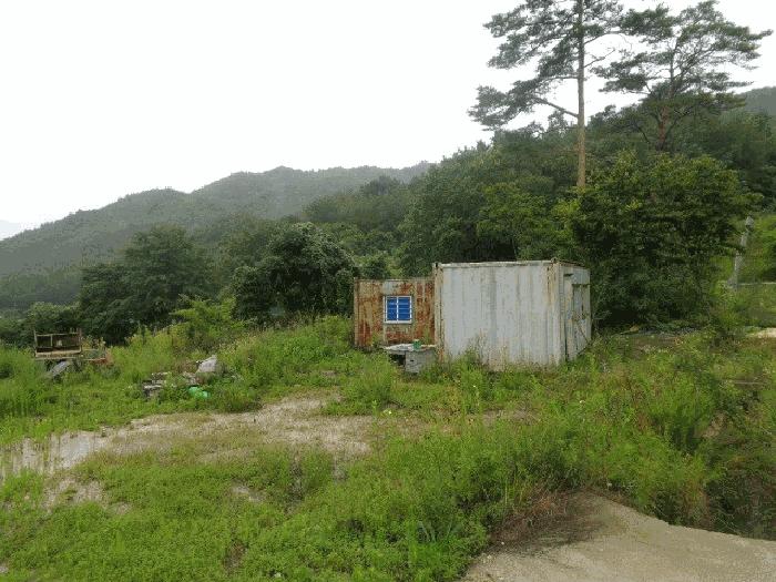 강원특별자치도 삼척시 원덕읍 임원리 993-1 전 경매 사진 2