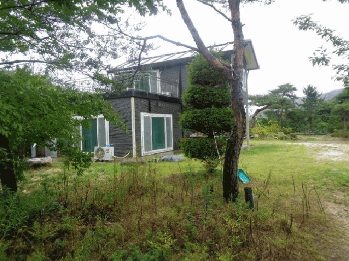 강원특별자치도 삼척시 원덕읍 임원리 993-1 전 경매 사진 3