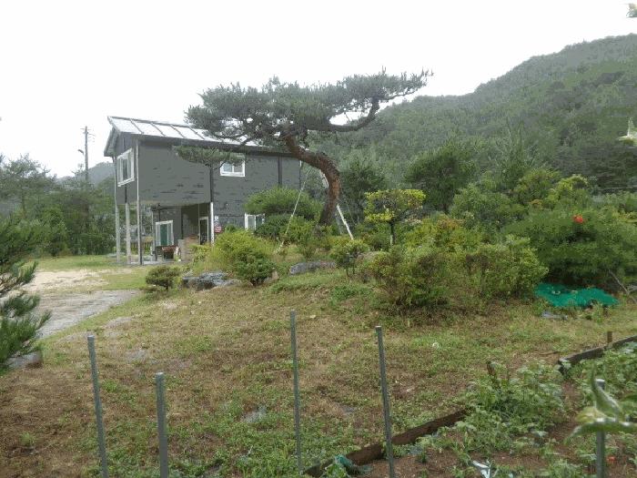 강원특별자치도 삼척시 원덕읍 임원리 1071 주택 경매 사진 5