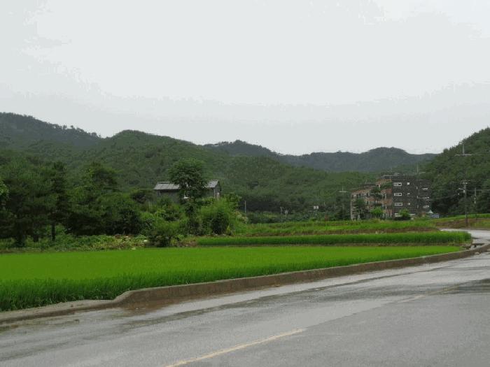 강원특별자치도 삼척시 원덕읍 임원리 1071 주택 경매 사진 7