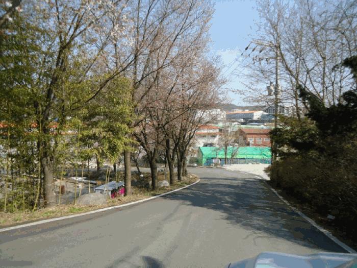 경기도 안성시 원곡면 칠곡리 168-9 전 경매 사진 17