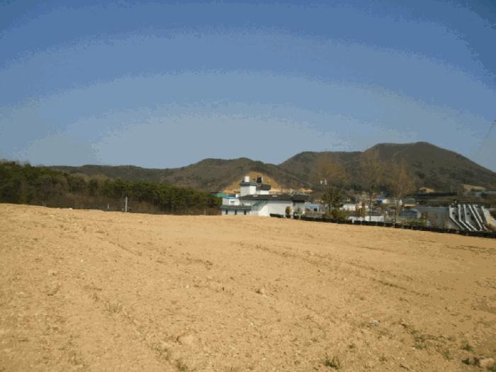 경기도 안성시 원곡면 칠곡리 168-9 전 경매 사진 18