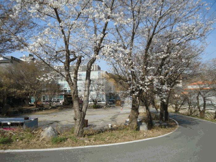 경기도 안성시 원곡면 칠곡리 168-9 전 경매 사진 4