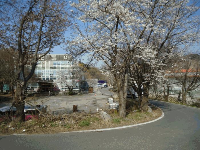 경기도 안성시 원곡면 칠곡리 168-9 전 경매 사진 8