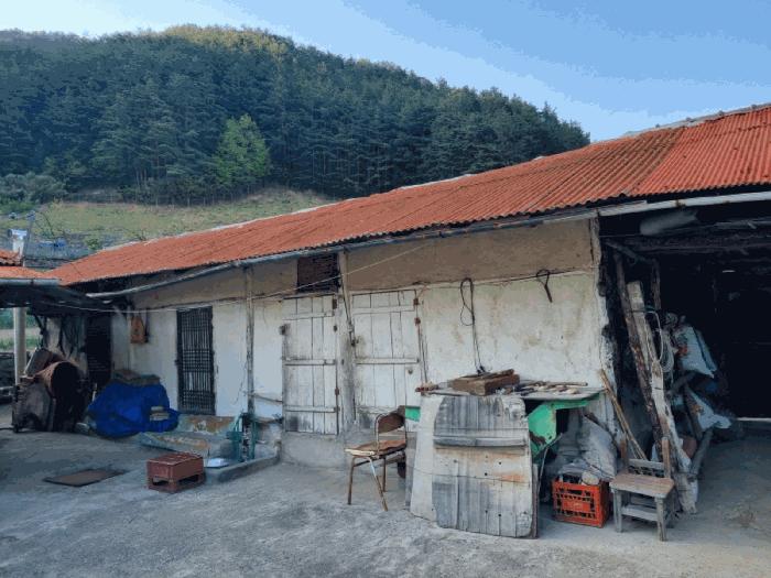 강원 삼척시 전
