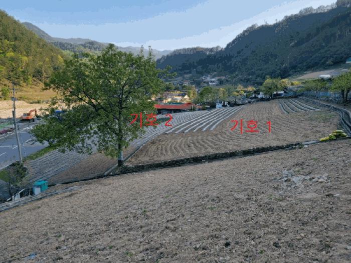 강원특별자치도 삼척시 가곡면 풍곡리 579-1 전 경매 사진 12
