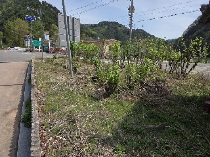강원특별자치도 삼척시 가곡면 풍곡리 579-1 전 경매 사진 19