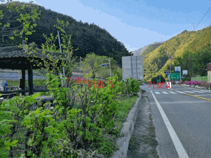 강원특별자치도 삼척시 가곡면 풍곡리 579-1 전 경매 사진 2