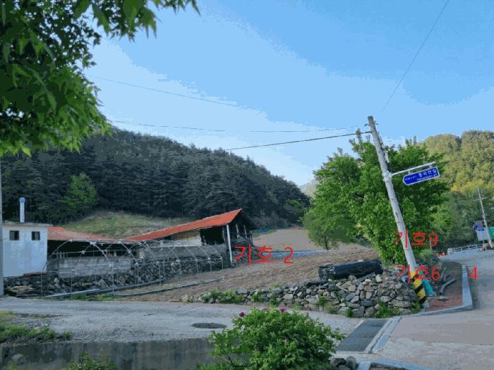 강원특별자치도 삼척시 가곡면 풍곡리 579-1 전 경매 사진 7