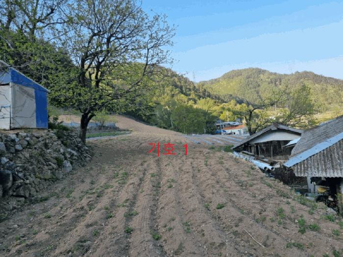 강원특별자치도 삼척시 가곡면 풍곡리 579-1 전 경매 사진 8