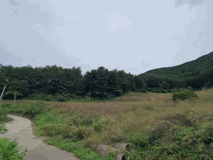 강원특별자치도 인제군 상남면 하남리 76 전 경매 사진 1