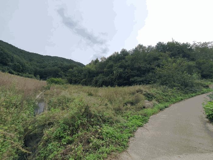 강원특별자치도 인제군 상남면 하남리 76 전 경매 사진 3