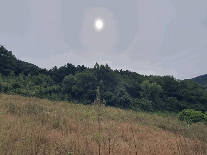 강원특별자치도 인제군 상남면 하남리 76 전 경매 사진 4