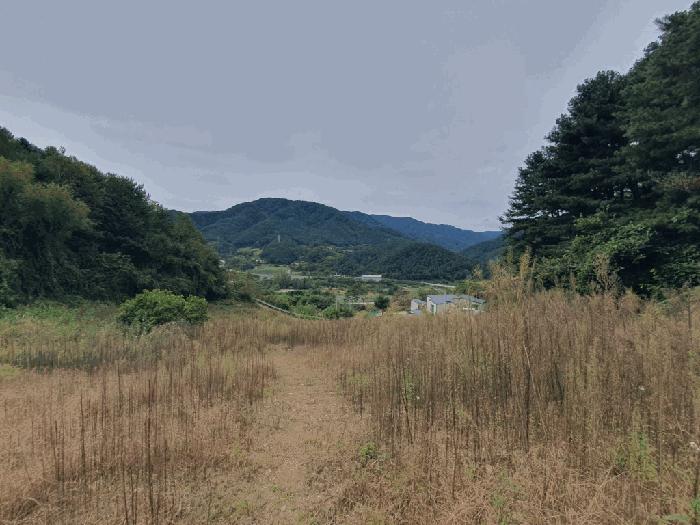 강원특별자치도 인제군 상남면 하남리 77 전 경매 사진 2