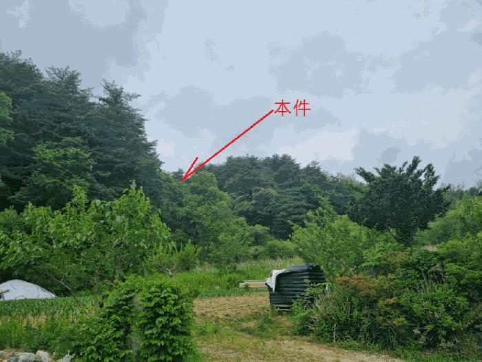 강원도 강릉시 성산면 관음리 1017 전 경매 사진 2
