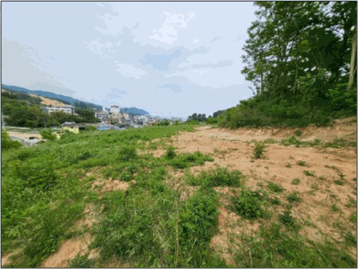 강원특별자치도 삼척시 근덕면 장호리 240 전 경매 사진 2