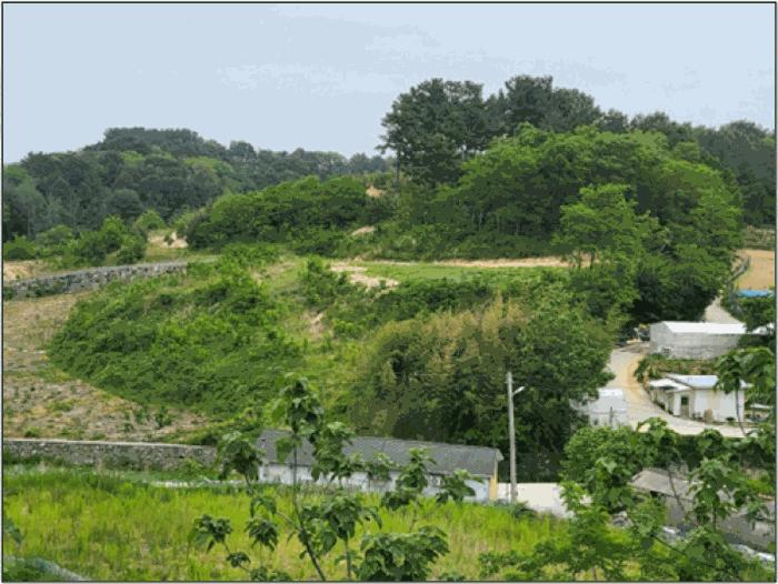 강원특별자치도 삼척시 근덕면 장호리 240 전 경매 사진 4