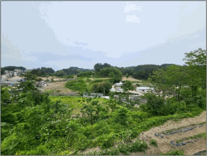 강원특별자치도 삼척시 근덕면 장호리 240 전 경매 사진 6