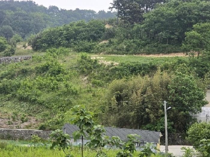 강원특별자치도 삼척시 근덕면 장호리 240 전 경매 사진 8