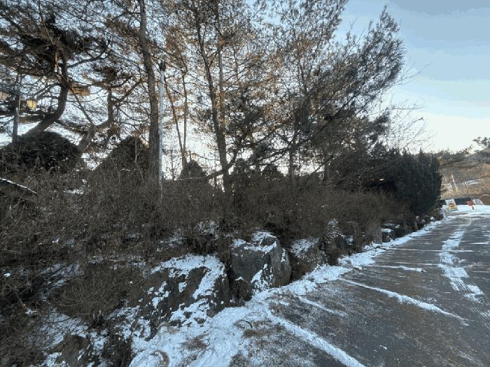 강원특별자치도 홍천군 서면 팔봉리 154 근린주택 경매 사진 14