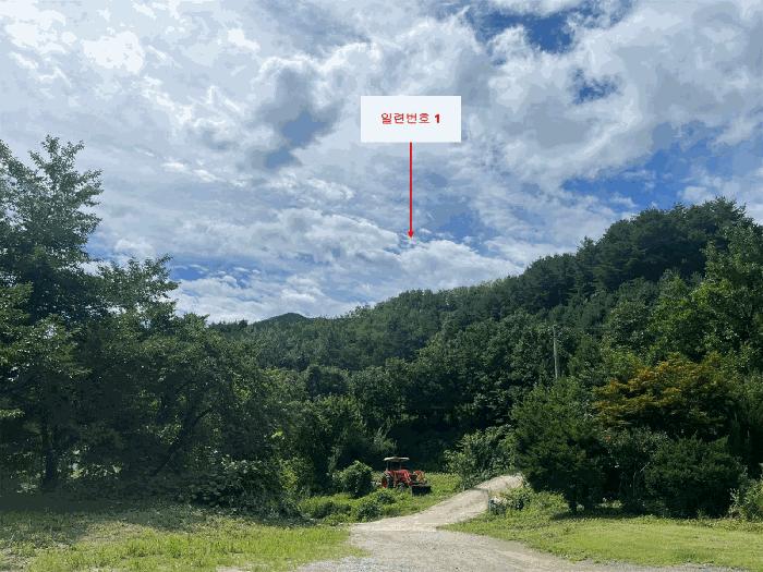강원특별자치도 강릉시 성산면 산북리 산172-2 임야 경매 사진 2