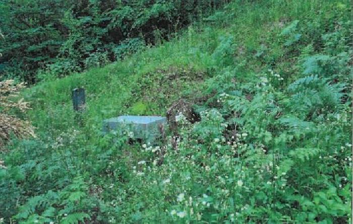 강원특별자치도 강릉시 성산면 산북리 산172-2 임야 경매 사진 4
